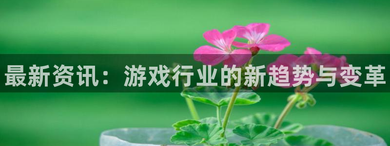 多彩娱乐网页登录入口：最新资讯：游戏行业的新趋势与变革