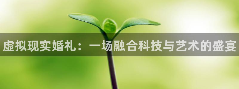 多彩娱乐的意思：虚拟现实婚礼：一场融合科技与艺术的盛宴