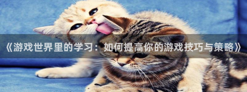 手机版多彩娱乐客户端下载：《游戏世界里的学习：如何提高你的游