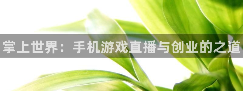 多彩娱乐注册：掌上世界：手机游戏直播与创业的之道