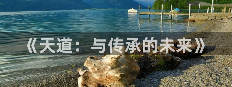 多彩娱乐登陆地址：《天道：与传承的未来》