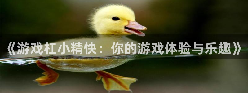 多彩娱乐app下载|下载地址：《游戏杠小精快：你的游戏体验与