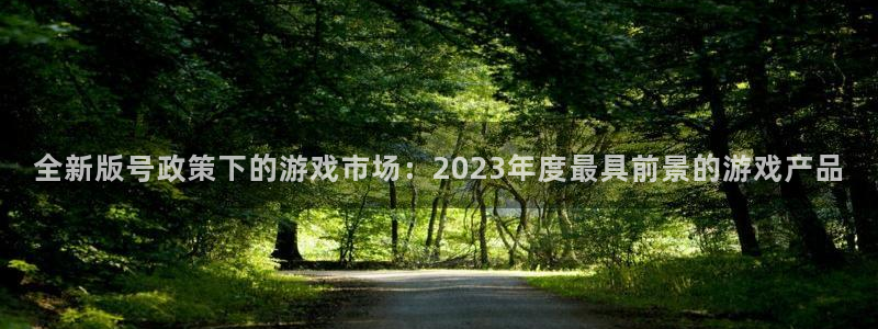 多彩娱乐注册：全新版号政策下的游戏市场：2023年度最具前景
