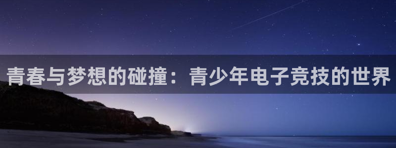 多彩娱乐是什么：青春与梦想的碰撞：青少年电子竞技的世界