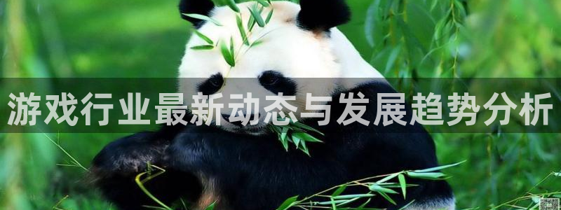 多彩娱乐注册登录:游戏行业最新动态与发展趋势分析