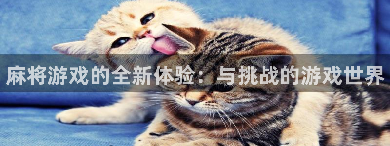 多彩娱乐app:麻将游戏的全新体验:与挑战的游戏世界