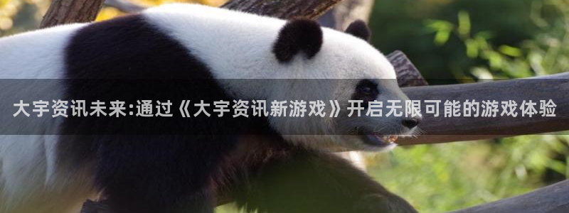 多彩娱乐网页登录入口下载：大宇资讯未来:通过《大宇资讯新游戏