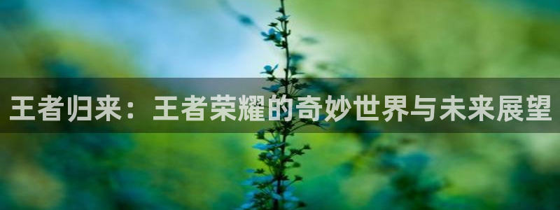 多彩娱乐平台登录入口：王者归来：王者荣耀的奇妙世界与未来展望