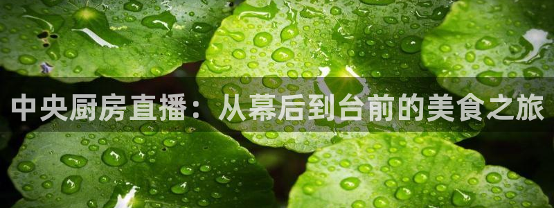 nba直播在线观看免费88看球：中央厨房直播：从幕后到台前的美食之旅