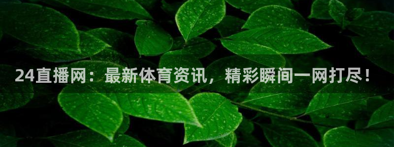 88看球nba足球直播：24直播网：最新体育资讯，精彩瞬间一网打尽！