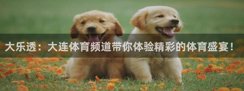 188看球网nba直播在线观看免费：大乐透：大连体育频道带你体验精彩的体育盛宴！