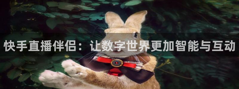 nba直播在线观看88看球：快手直播伴侣：让数字世界更加智能与互动