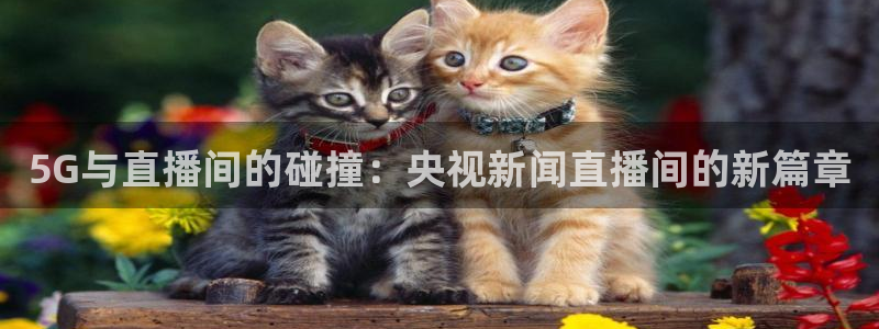 nba88看球直播免费直播：5G与直播间的碰撞：央视新闻直播间的新篇章