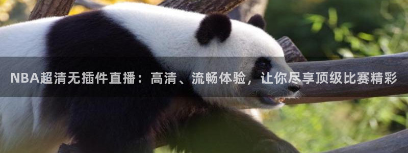 888看球直播nba：NBA超清无插件直播：高清、流畅体验，让你尽享顶级比赛精彩