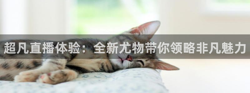 88看球免费直播官网：超凡直播体验：全新尤物带你领略非凡魅力