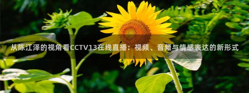88看球免费直播官网：从陈江泽的视角看CCTV13在线直播：视频、音频与情感表达的新形式