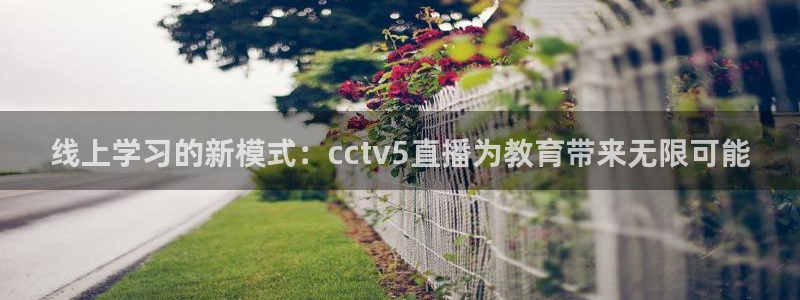 188看球直播官网入口：线上学习的新模式：cctv5直播为教育带来无限可能