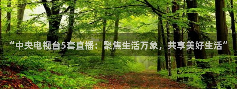 88看球体育直播：“中央电视台5套直播：聚焦生活万象，共享美好生活”