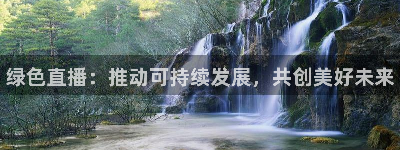 88看球nba直播吧