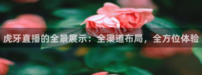 88看球直播网：虎牙直播的全景展示：全渠道布局，全方位体验