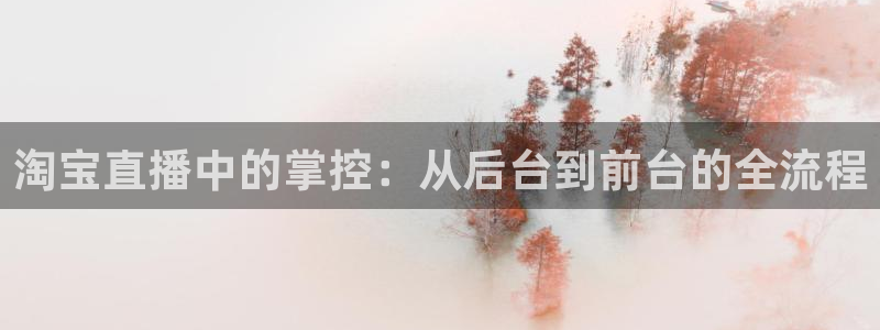 nba直播免费观看直播在线88看球：淘宝直播中的掌控：从后台到前台的全流程
