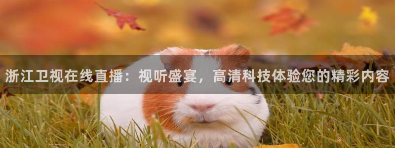 88看球nba直播间：浙江卫视在线直播：视听盛宴，高清科技体验您的精彩内容