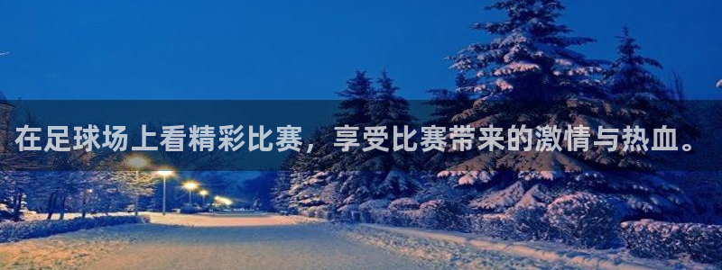 88看球直播 在线观看：在足球场上看精彩比赛，享受比赛带来的激情与热血。