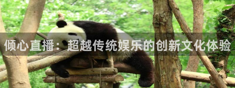 nba直播免费观看直播在线88看球：倾心直播：超越传统娱乐的创新文化体验